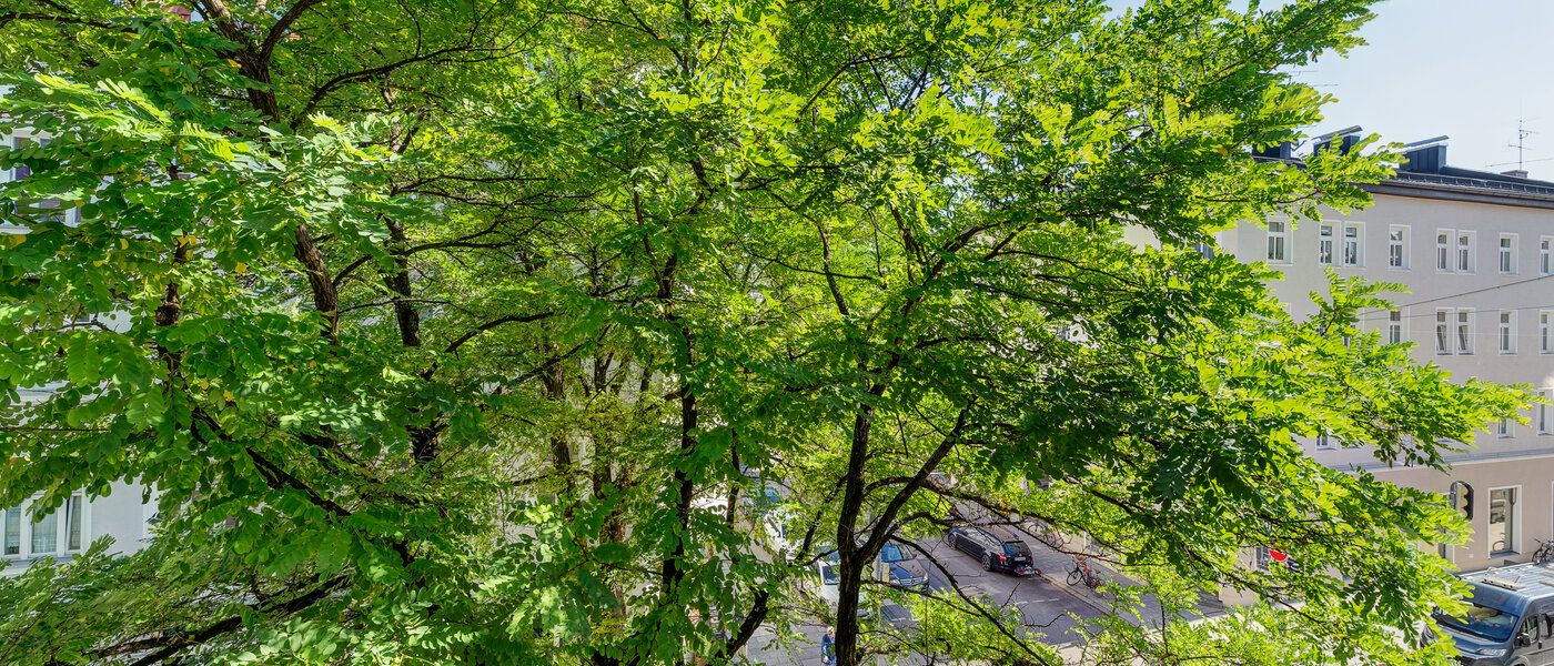 appartement München Maxvorstadt - Universitätsviertel 01 vue 3592
