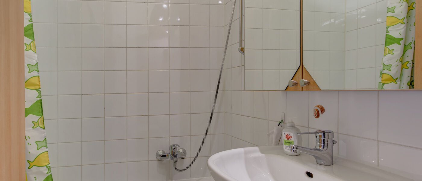 appartement München Maxvorstadt - Universitätsviertel 02 salle de bain 3687