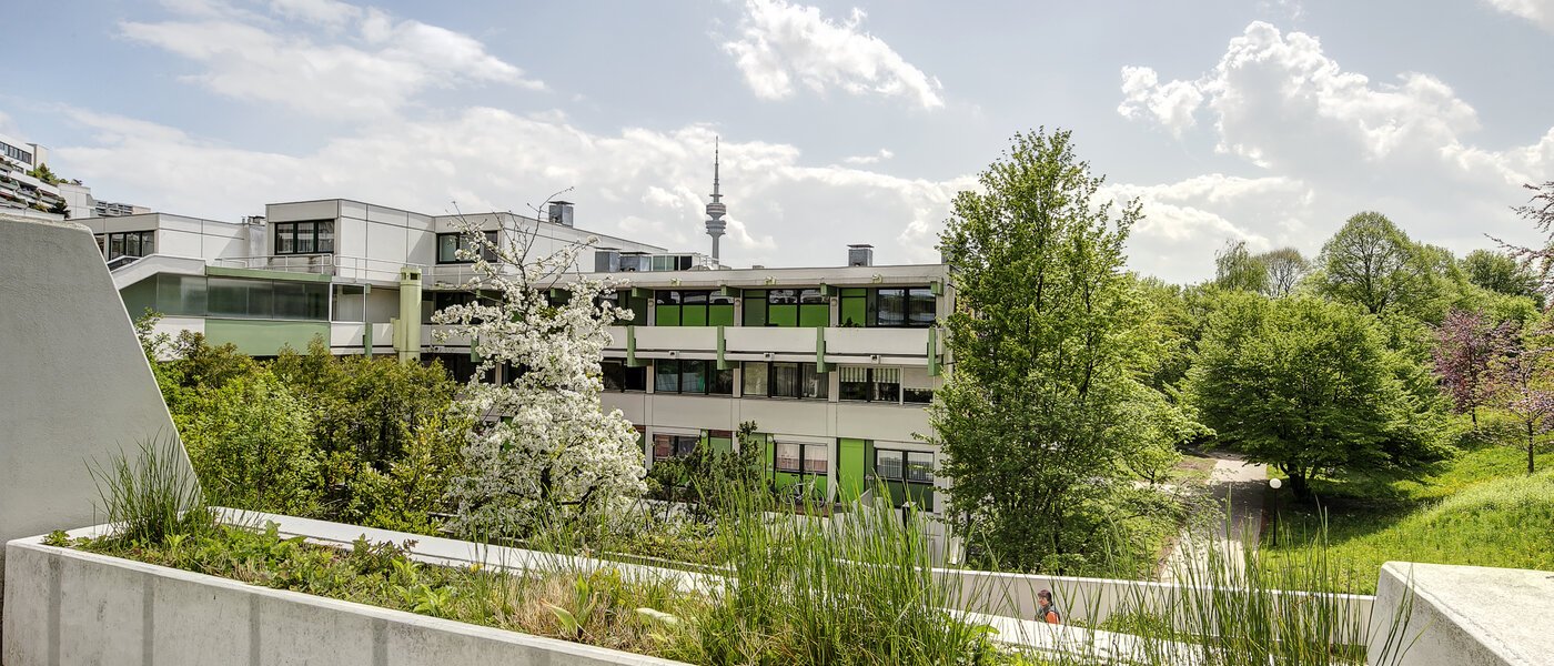 appartement München Olympiadorf 01 vue 3688