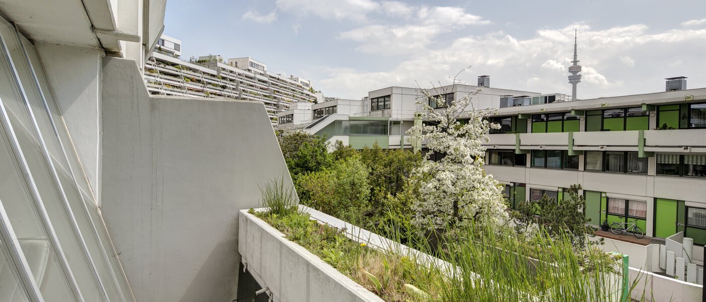 appartement München Olympiadorf 02 vue 3688