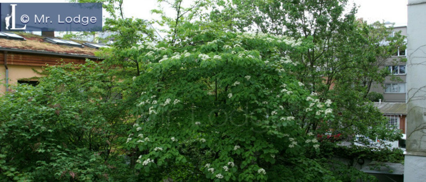 appartement München Maxvorstadt - Museumsviertel 05 vue 3843