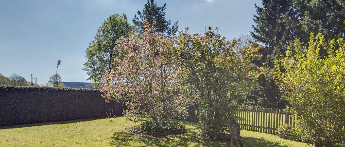 appartement München Moosach 01 jardin 402