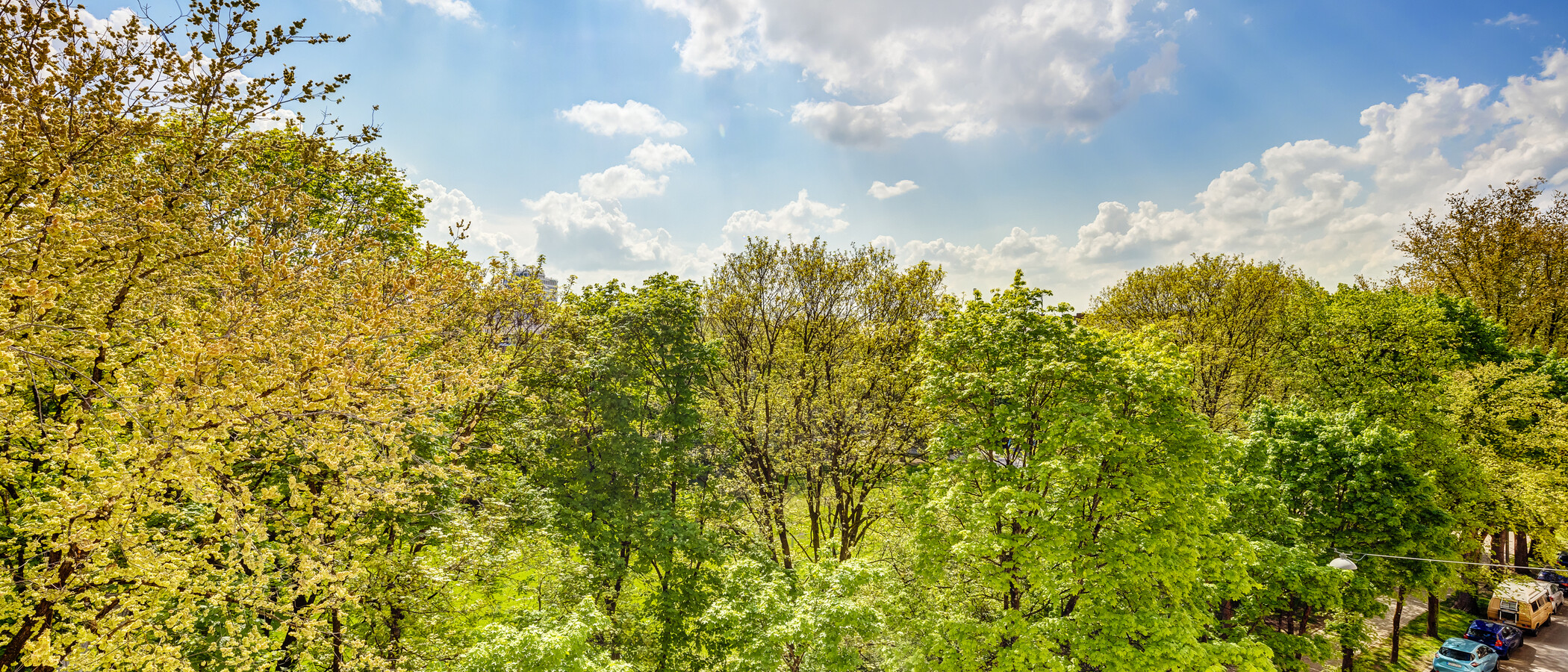 appartement sous les toits München Obergiesing 01 vue 4141