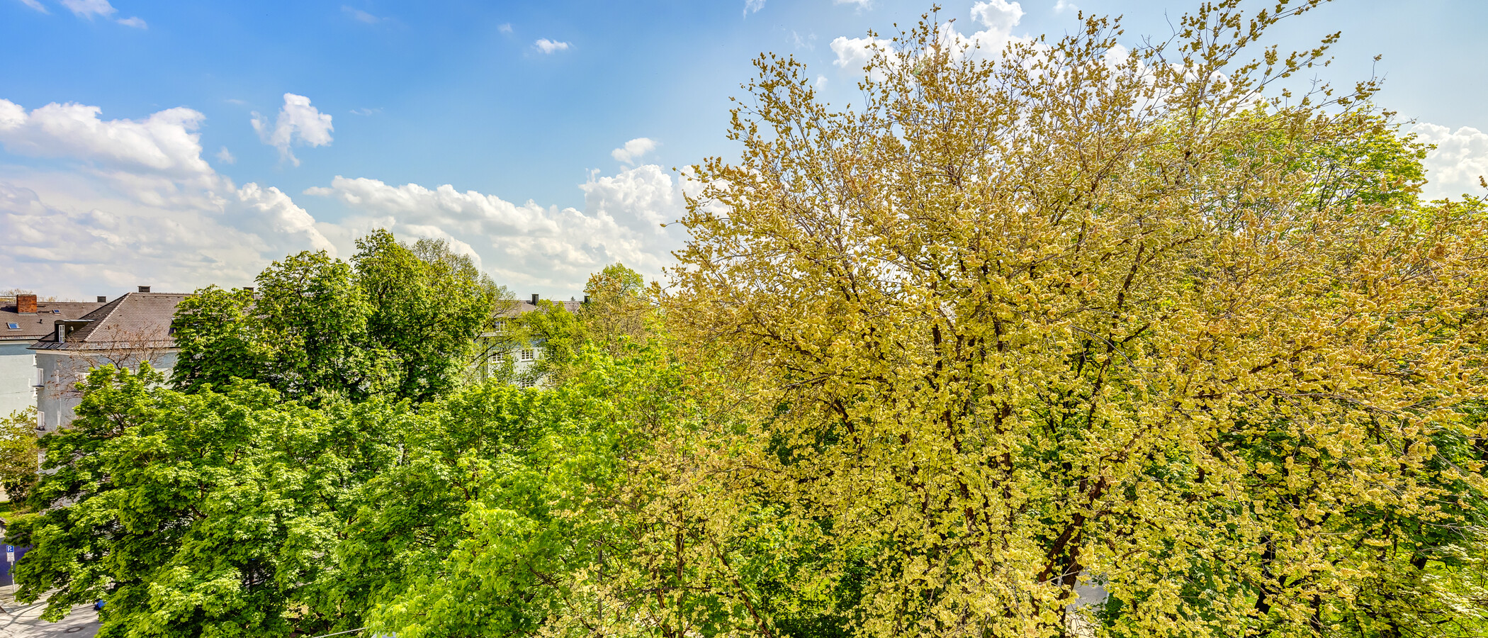 appartement sous les toits München Obergiesing 02 vue 4141