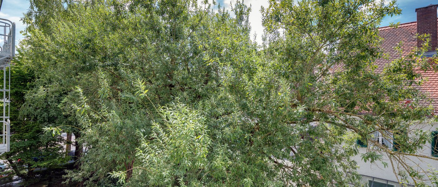 appartement München Giesing 02 vue 4372