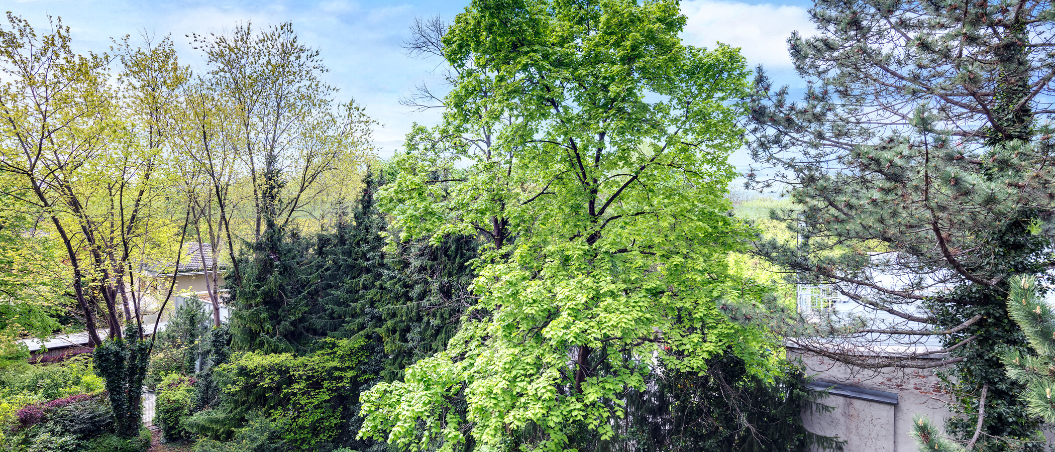 appartement München Schwabing-Nord (zw. Leopoldstraße & Englischen Garten) 01 vue 4452
