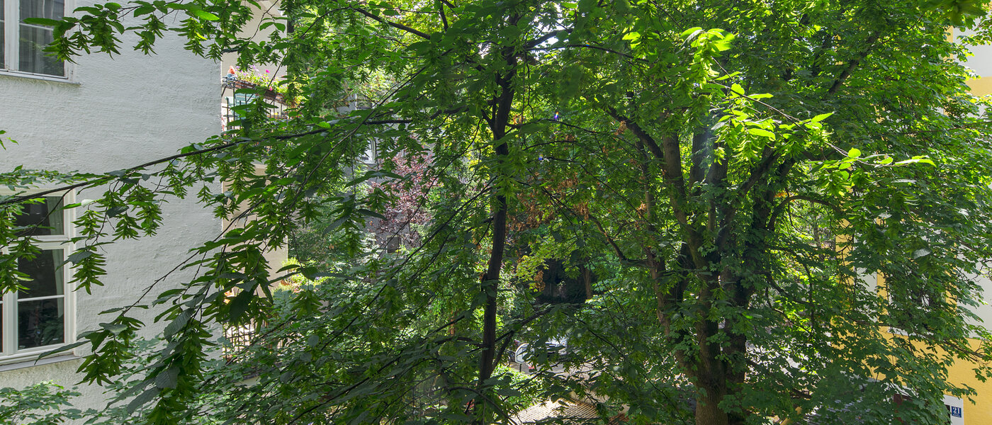 appartement München Schwabing-West (rund um den Hohenzollernplatz) 02 vue 4507