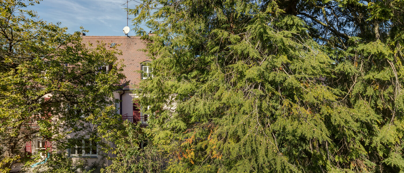 appartement München Nymphenburg-Gern 02 vue 4670