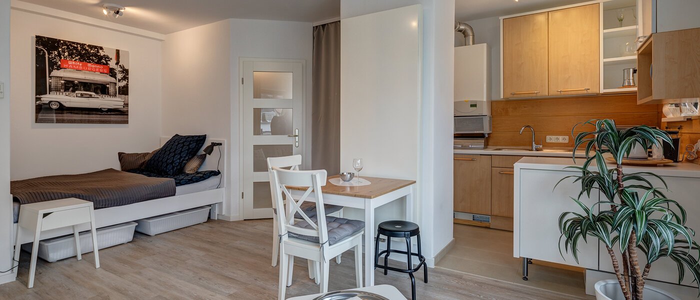 appartement München Glockenbachviertel 05 salon 4880