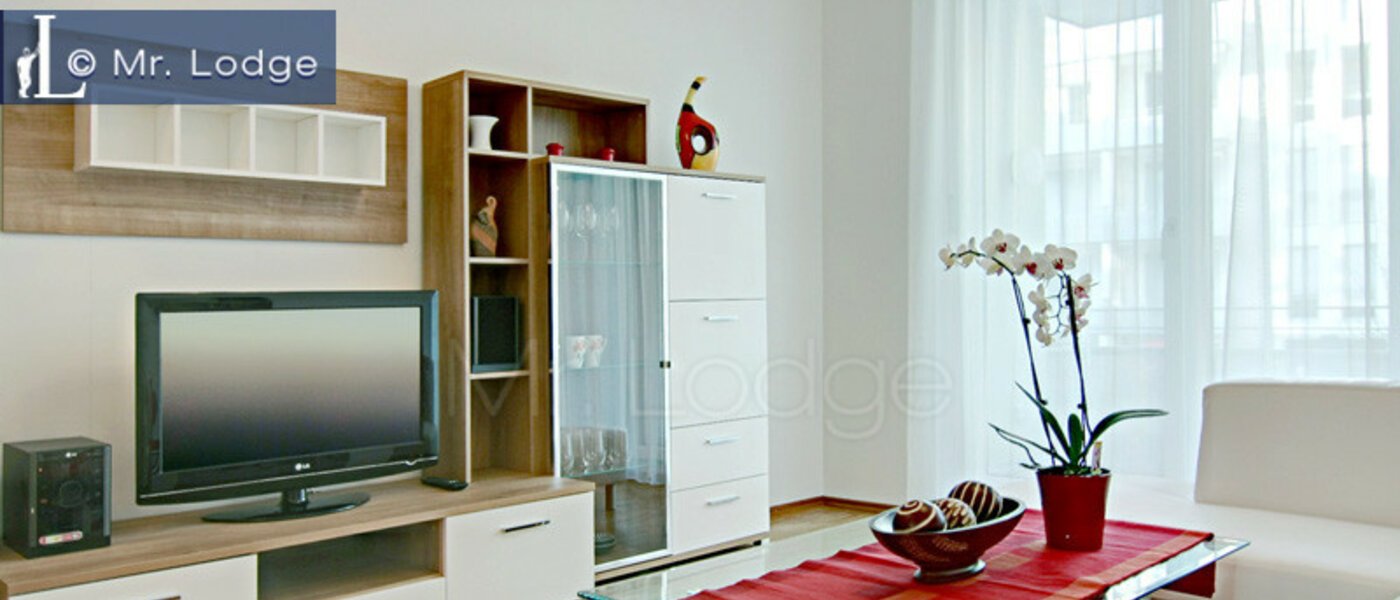 appartement München Maxvorstadt - Westen 02 salon 4883