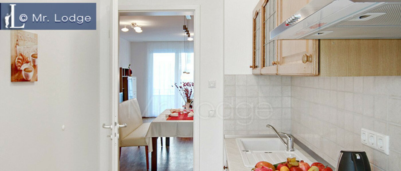 appartement München Maxvorstadt - Westen 02 cuisine 4883