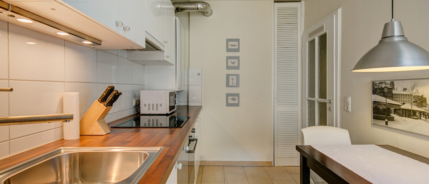 appartement München Isarvorstadt 04 cuisine 5105