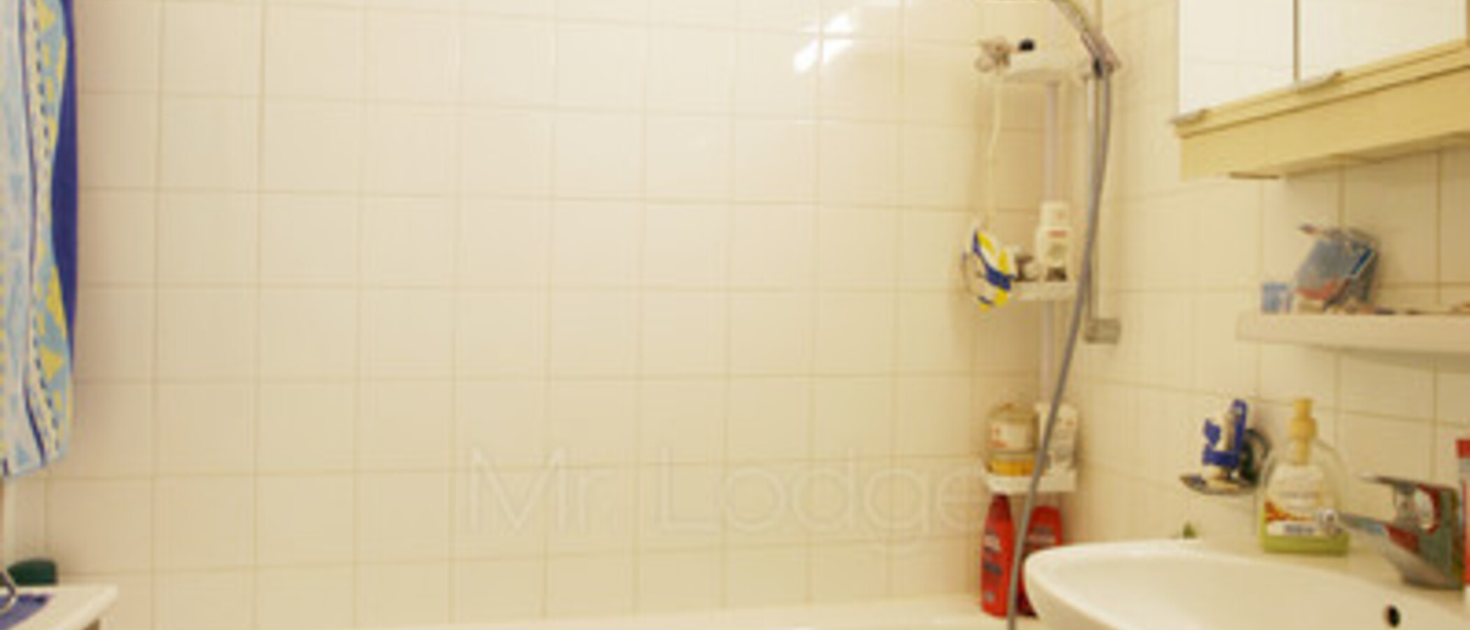 appartement München Schwabing-Georgenschwaige 01 salle de bain 5164