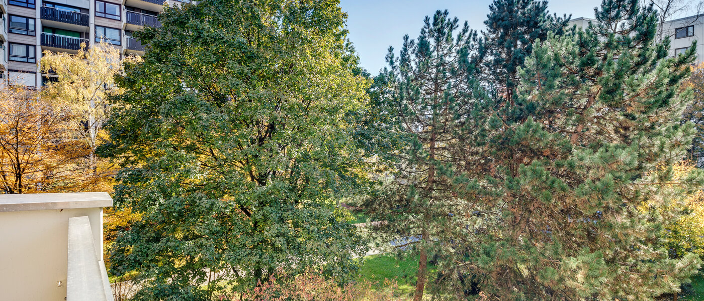 appartement München Haidhausen 02 vue 5180