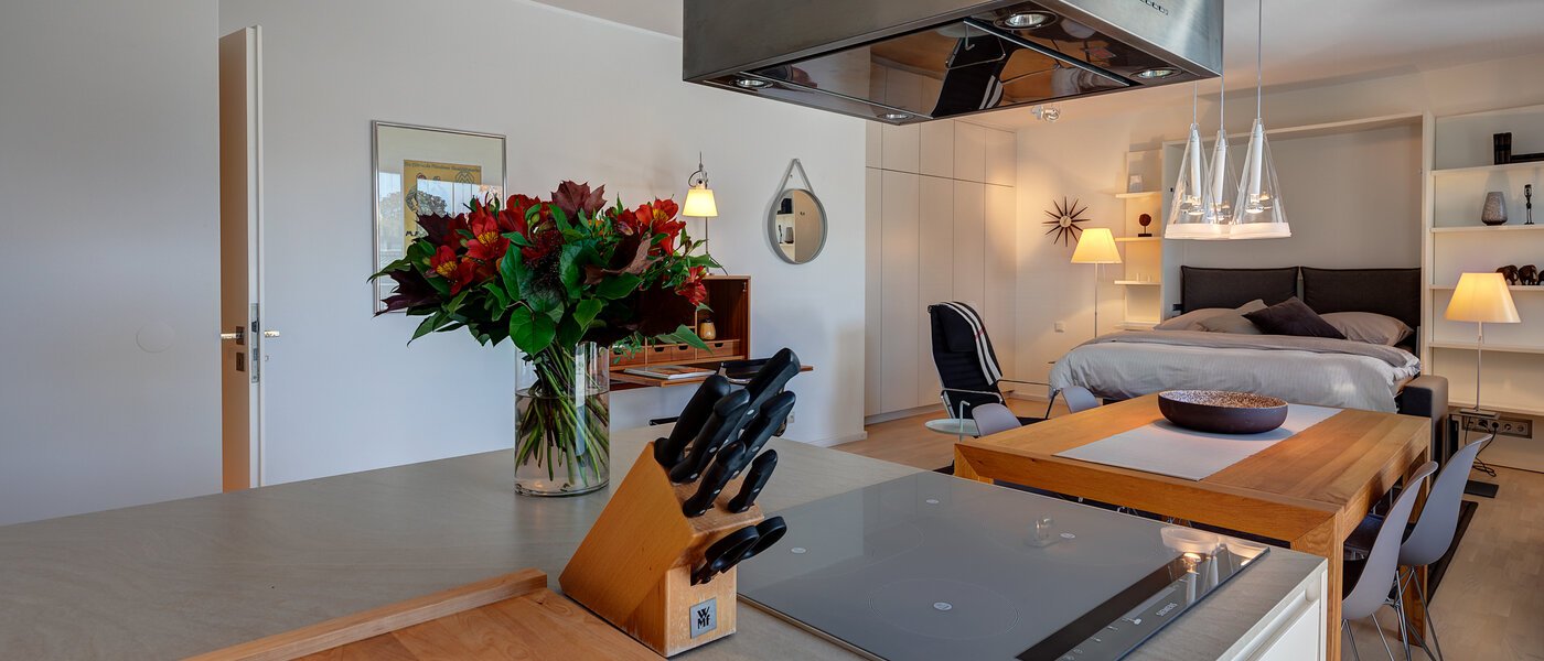 appartement München Schwabing (links der Leopoldstraße) 03 cuisine 5263