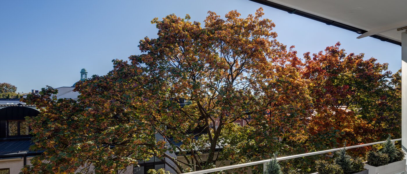 appartement München Schwabing (links der Leopoldstraße) 02 vue 5263