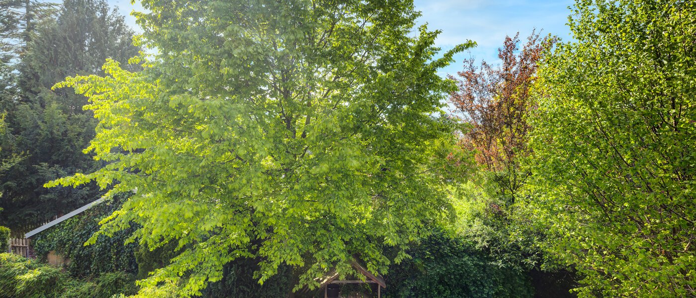 maison mitoyenne München Westpark 02 vue 5296