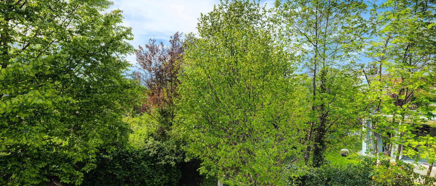 maison mitoyenne München Westpark 03 vue 5296