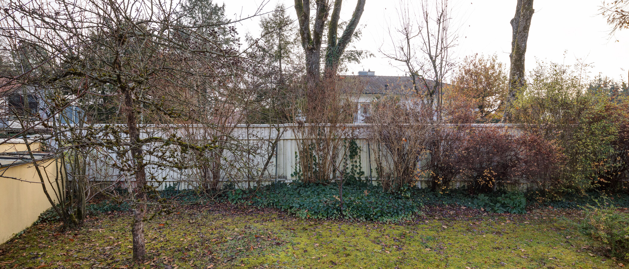 appartement Grünwald 01 vue 5318