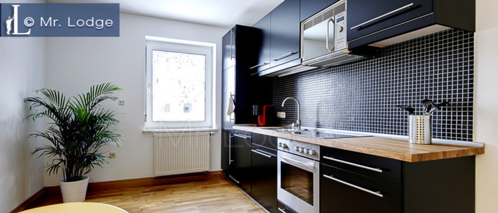 appartement München Milbertshofen 01 cuisine 5352