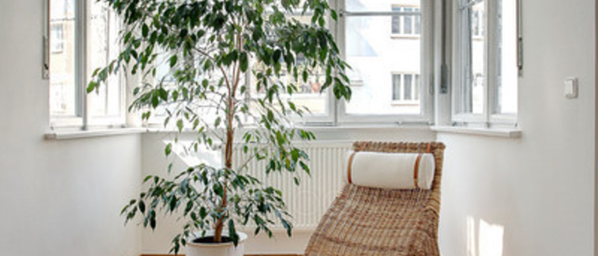 appartement München Altbogenhausen 09 salon 5506