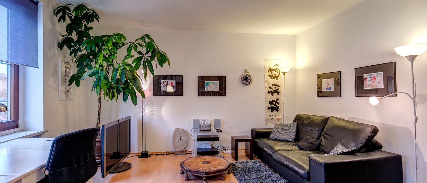 appartement München Maxvorstadt - Universitätsviertel 01 salon 5607