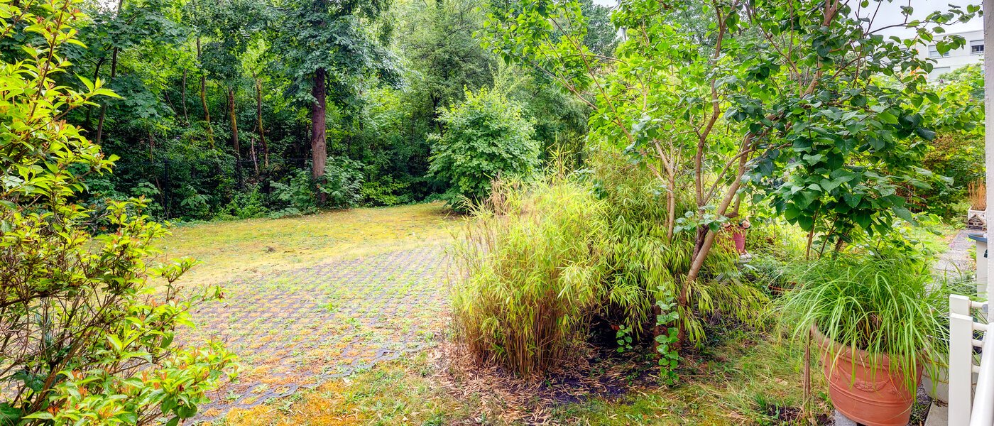 appartement München Schwabing-Nord (zw. Belgrad- & Leopoldstraße) 02 vue 565