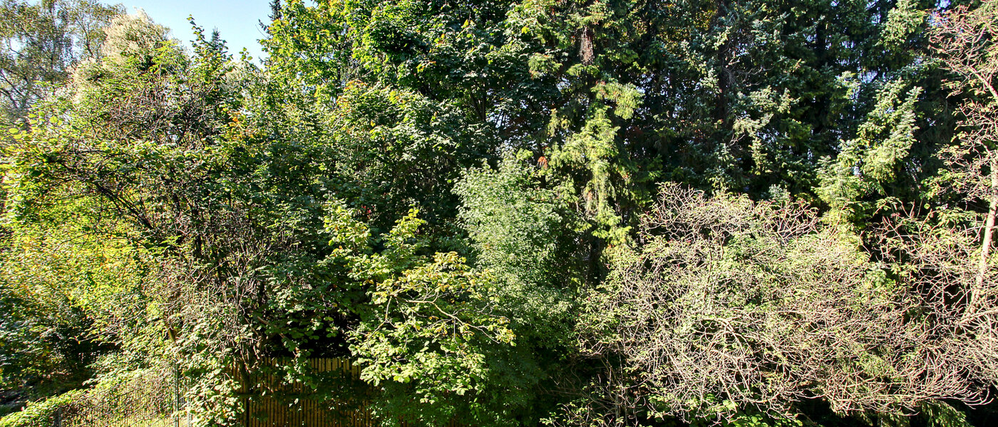 appartement München Schwabing 01 vue 5794