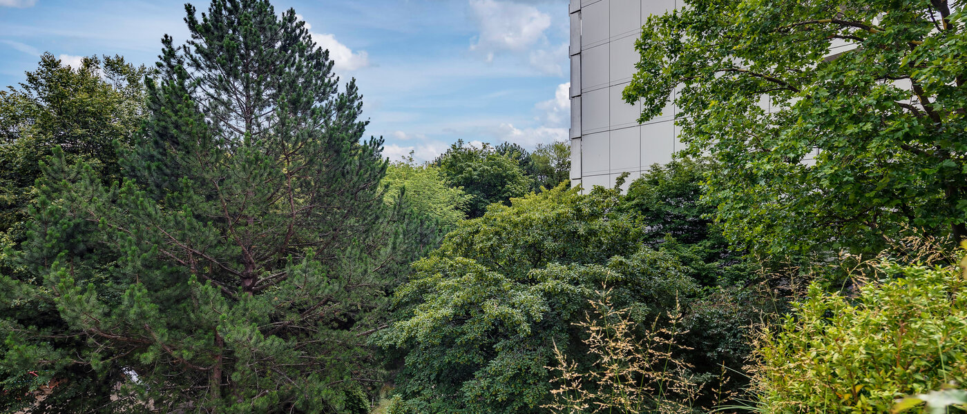 appartement München Moosach 03 vue 5951