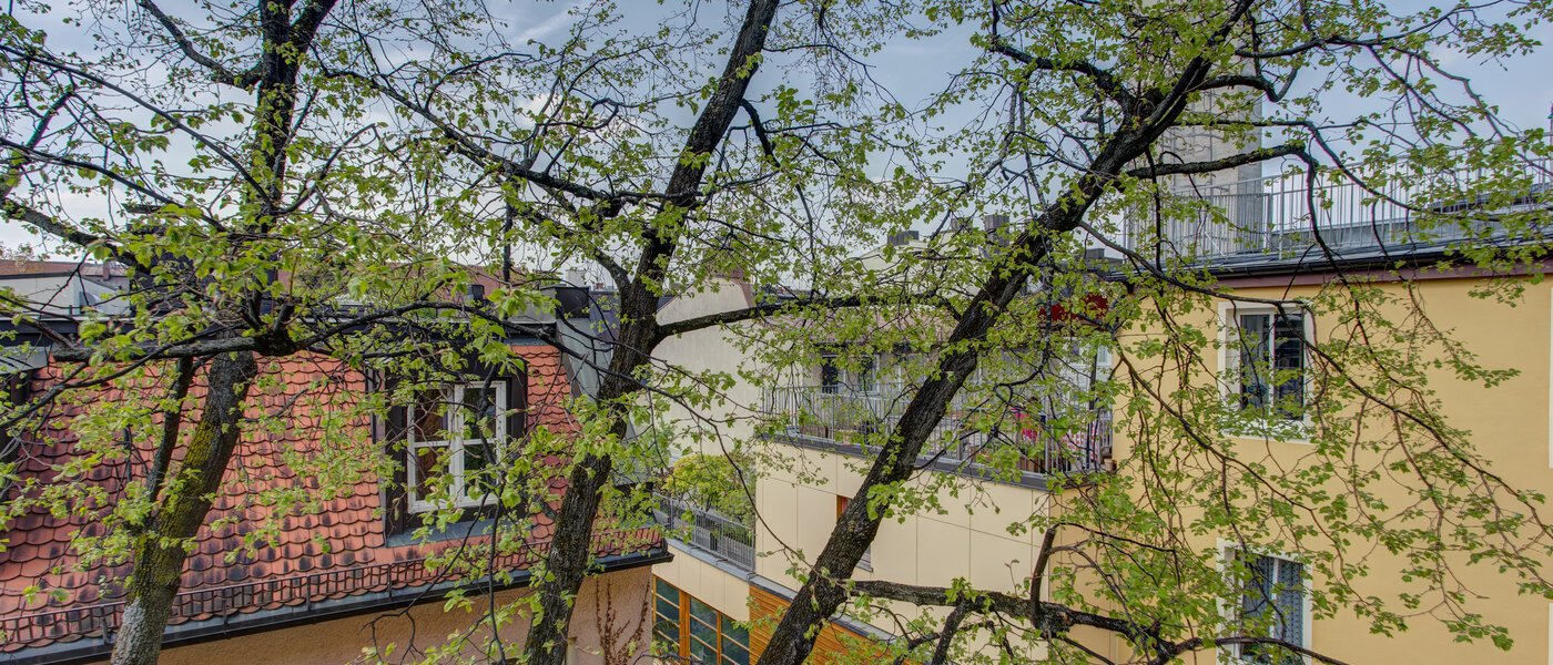 appartement München Maxvorstadt - Universitätsviertel 02 vue 6047