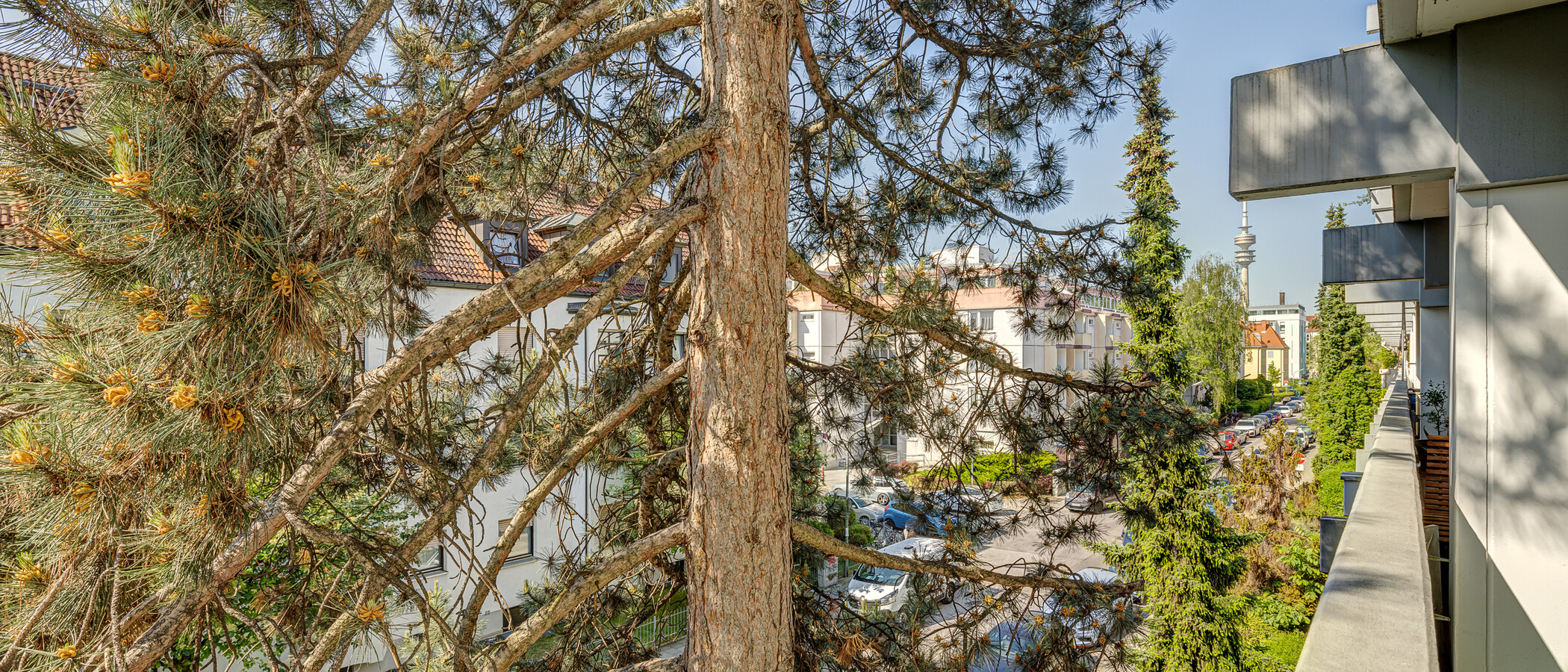 appartement München Milbertshofen 02 vue 6061