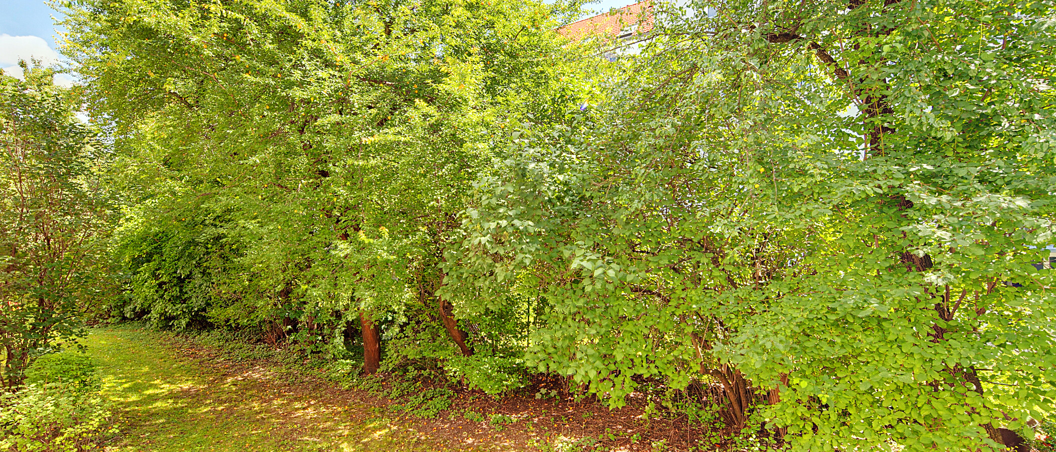 appartement München Schwabing - Alte Heide 01 vue 6261