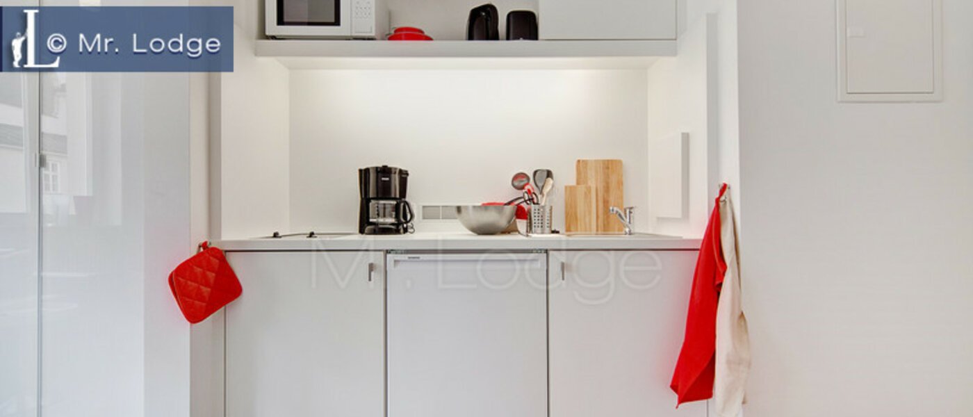 appartement München Lehel 01 cuisine 6432