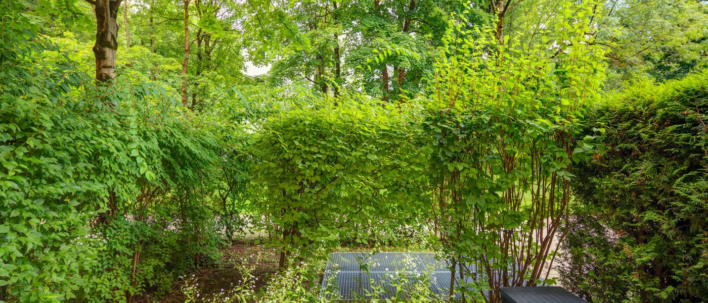 appartement München Haidhausen 01 vue 6448