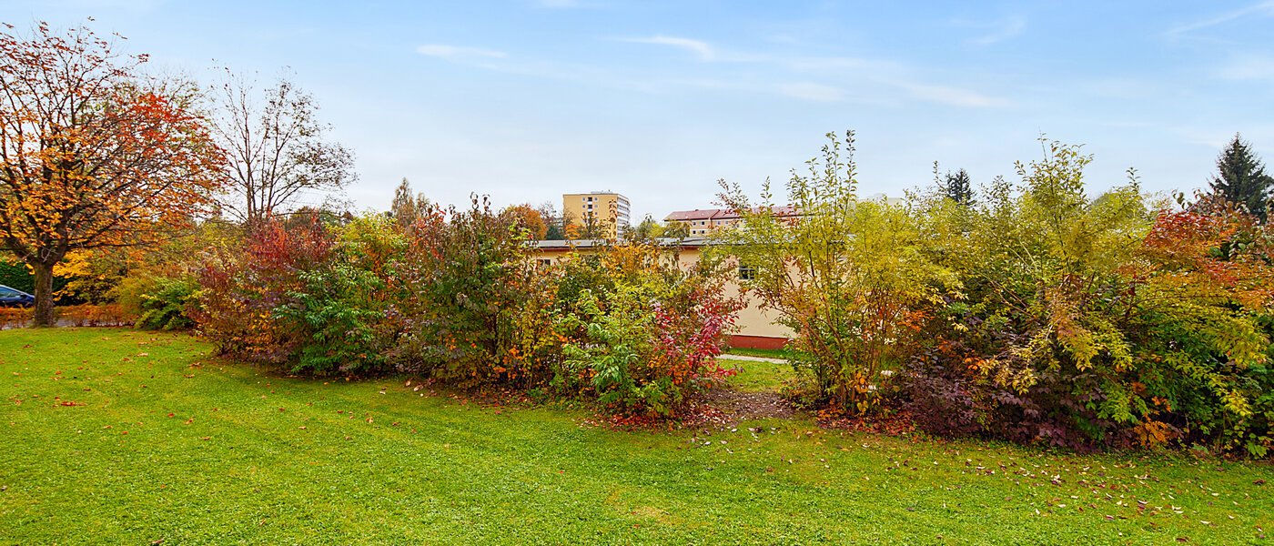 appartement Planegg 01 vue 6451