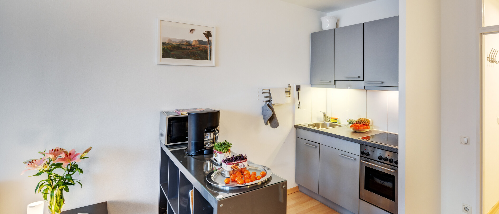 appartement München Schwabing-West 01 cuisine 6455