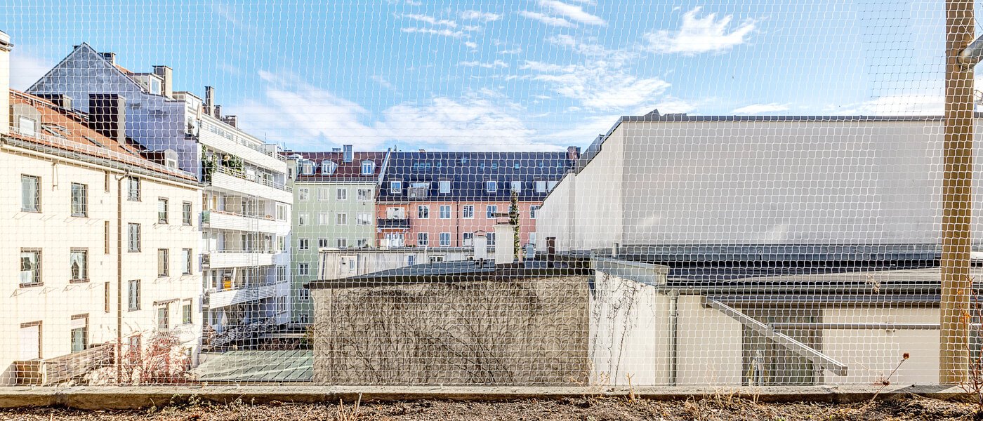 appartement München Maxvorstadt - Universitätsviertel 01 vue 6485