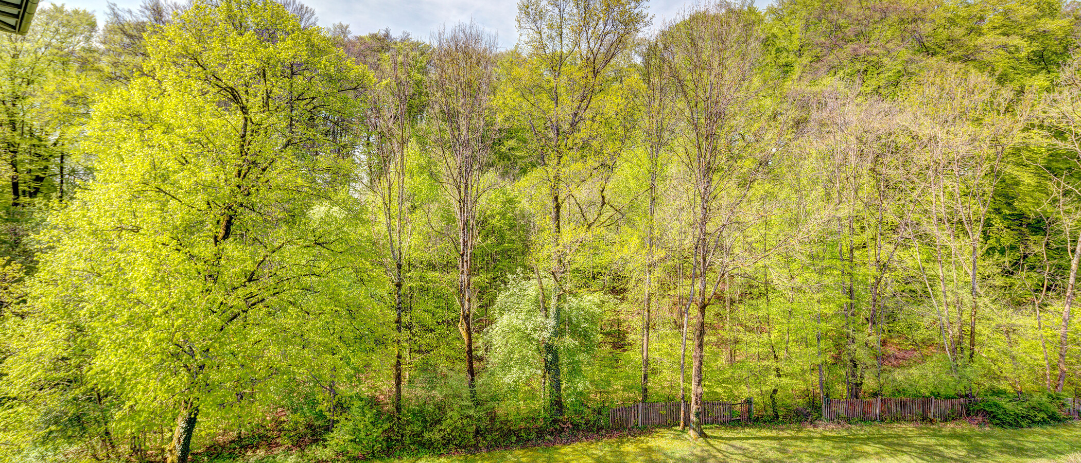 appartement Starnberg 01 vue 6634