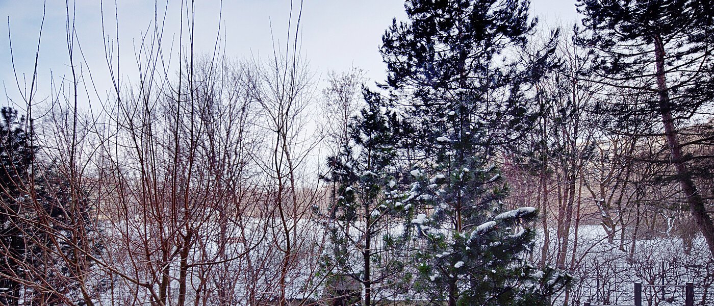 appartement München Haidhausen 02 vue 6637