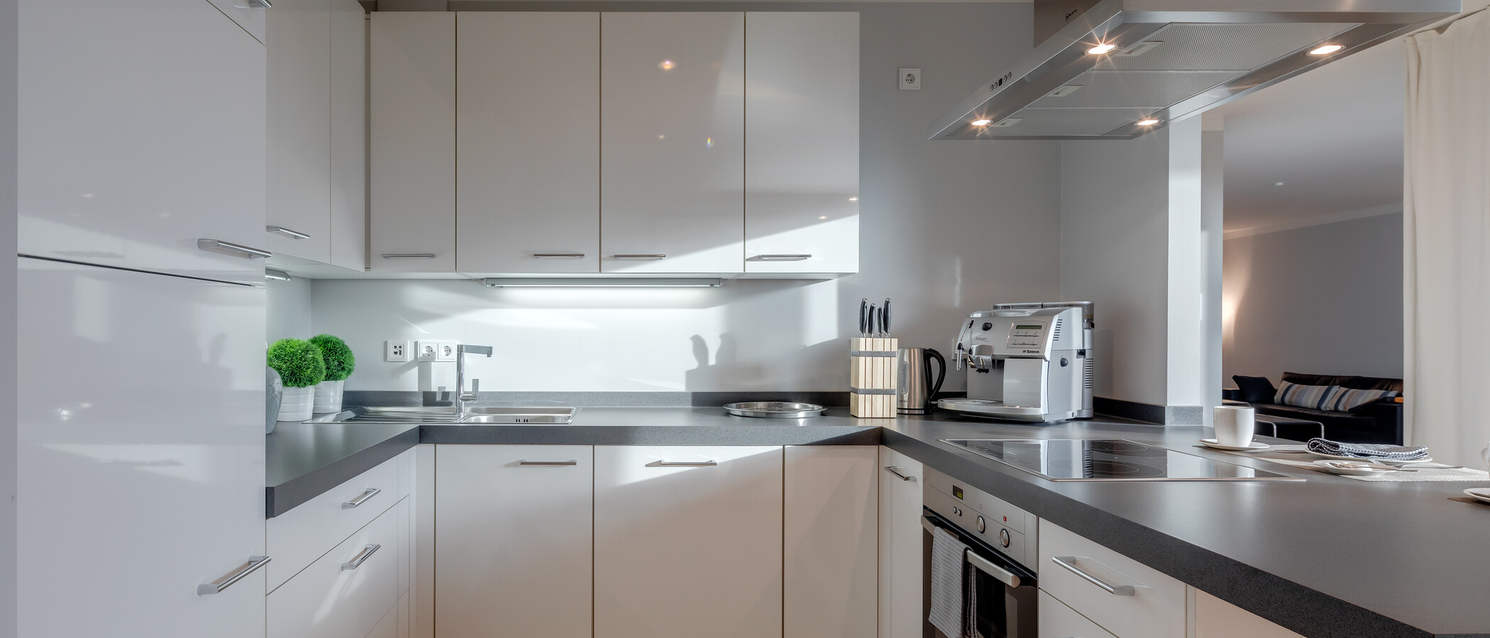 appartement München Maxvorstadt 01 cuisine 6679