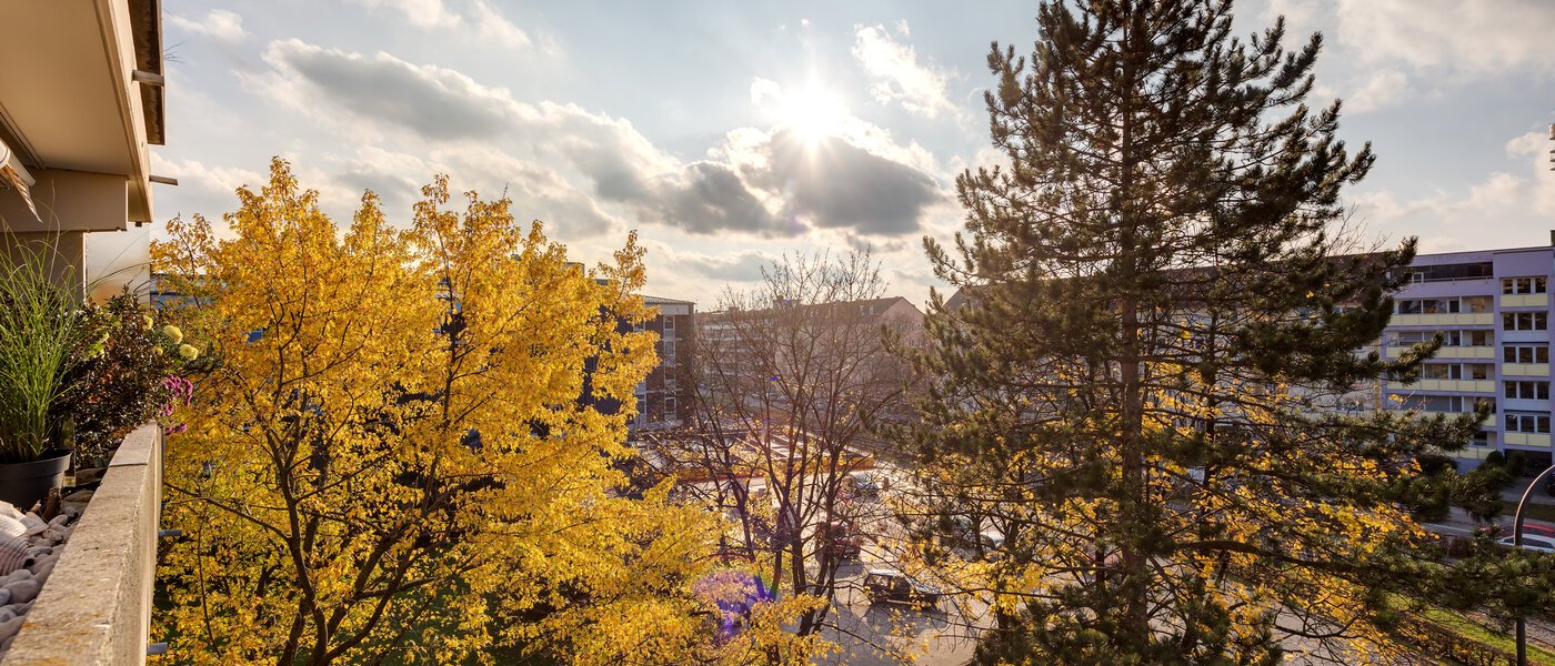 appartement München Schwabing 02 vue 7050