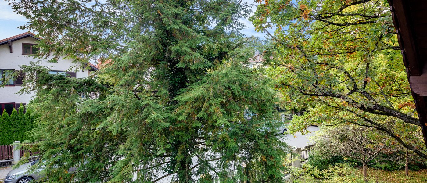 appartement München Pasing 03 vue 7263