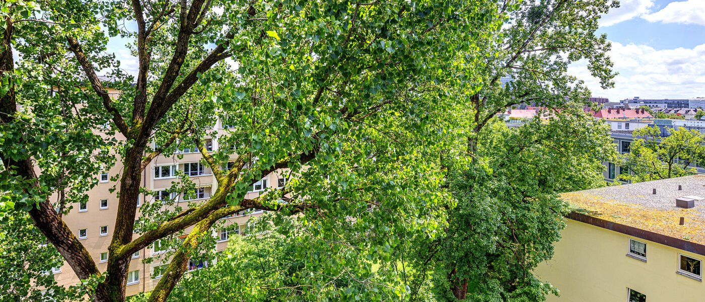 appartement München Bogenhausen 04 vue 7308