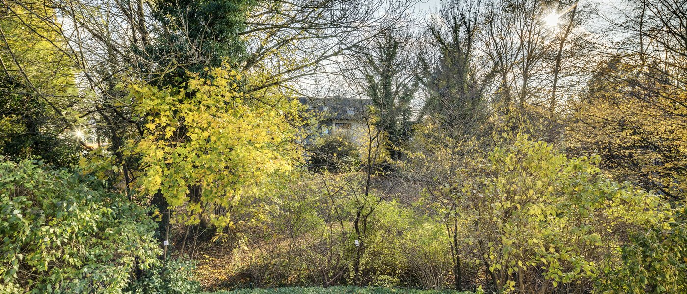 appartement style maisonnette München Fasanerie 01 vue 7475