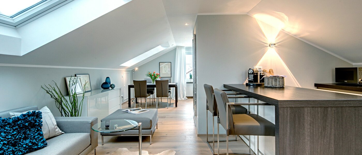 appartement sous les toits München Trudering 01 salon 7503