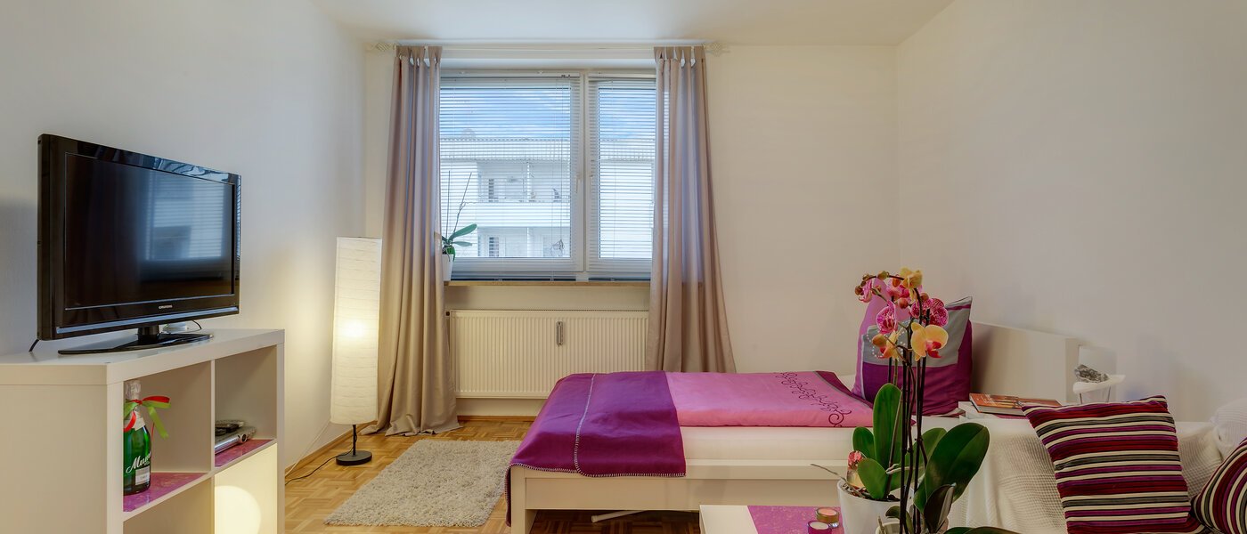 appartement München Schwabing-Nord (zw. Belgrad- & Leopoldstraße) 02 salon 7587