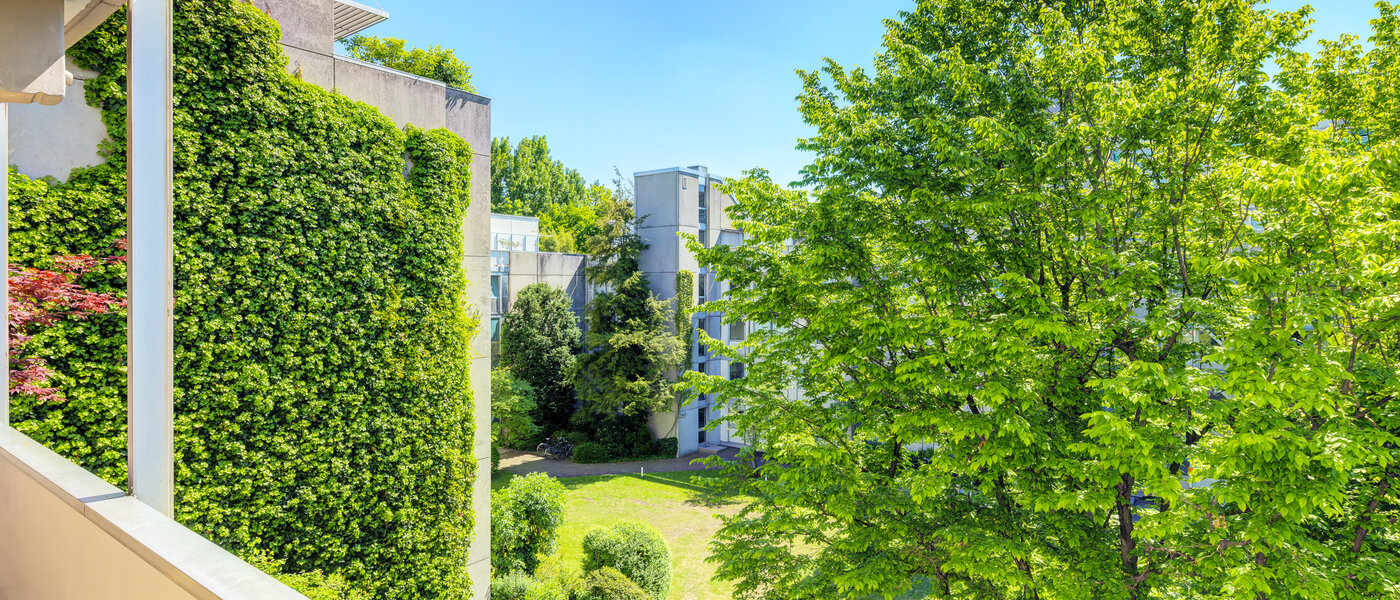appartement München Schwabing-Nord (zw. Leopoldstraße & Englischen Garten) 01 vue 7670