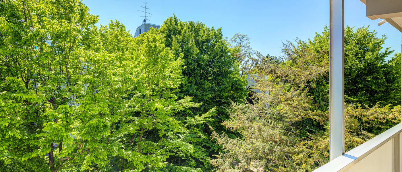 appartement München Schwabing-Nord (zw. Leopoldstraße & Englischen Garten) 02 vue 7670