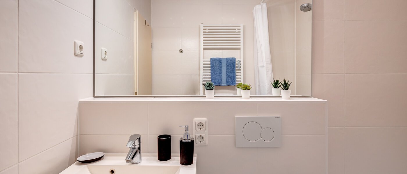 appartement München Schwabing-West (rund um den Hohenzollernplatz) 02 salle de bain 7675