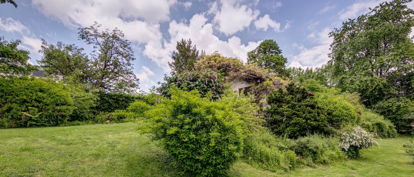 maison Schäftlarn 03 jardin 7847